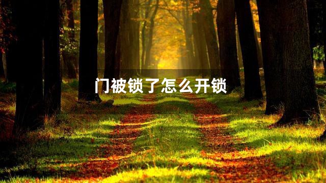 门被锁了怎么开锁