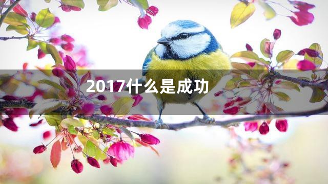 2017什么是成功
