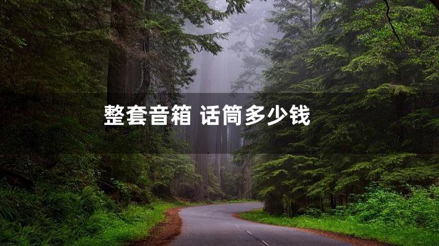 整套音箱 话筒多少钱