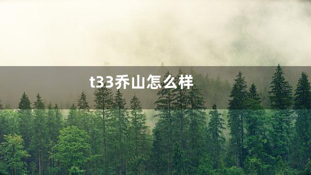 t33乔山怎么样