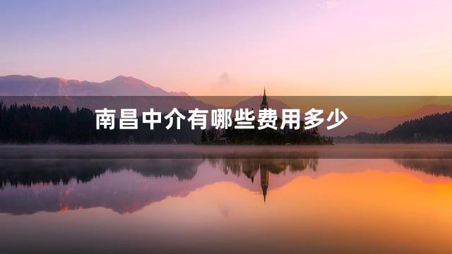 南昌中介有哪些费用多少