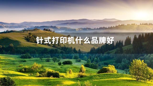 针式打印机什么品牌好