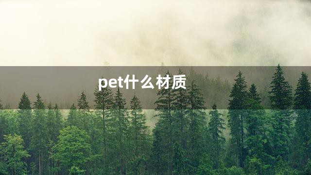 pet什么材质