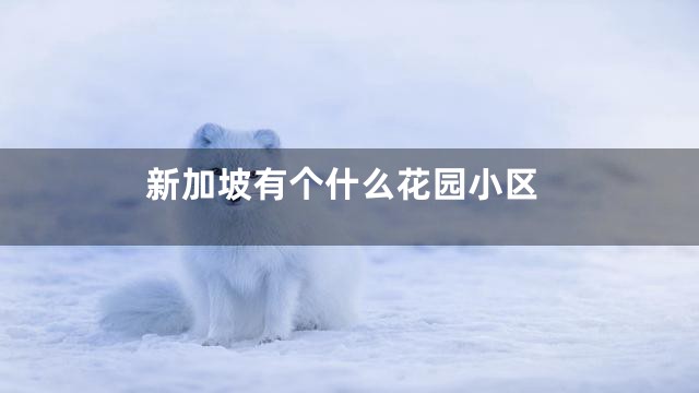 新加坡有个什么花园小区