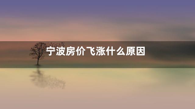 宁波房价飞涨什么原因