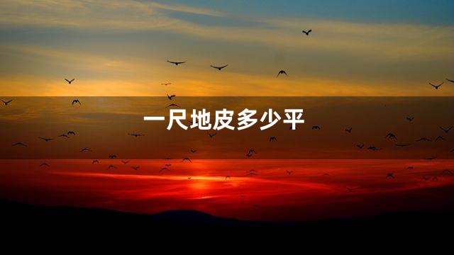 一尺地皮多少平