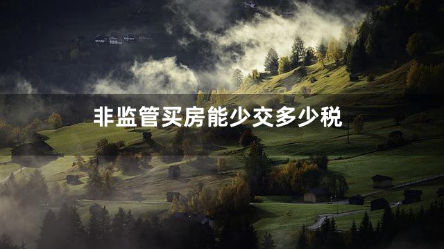 非监管买房能少交多少税