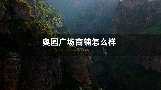 奥园广场商铺怎么样