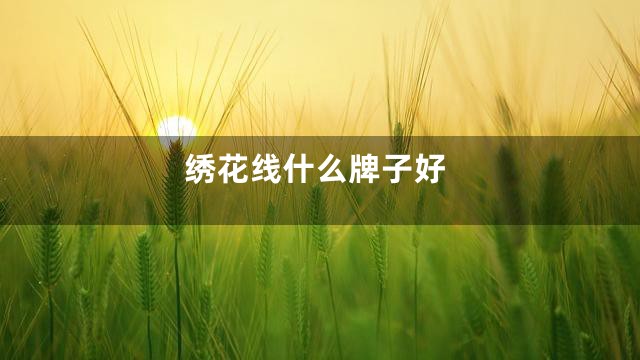 绣花线什么牌子好