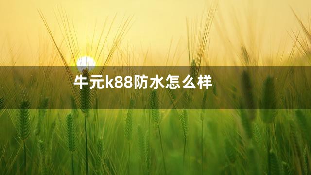 牛元k88防水怎么样