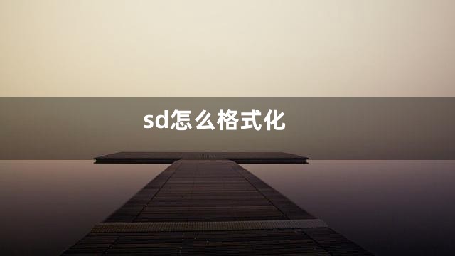 sd怎么格式化