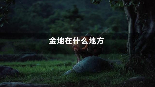 金地在什么地方