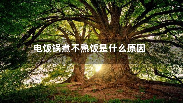 电饭锅煮不熟饭是什么原因