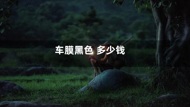 车膜黑色 多少钱