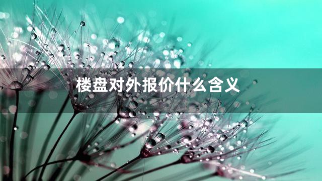 楼盘对外报价什么含义