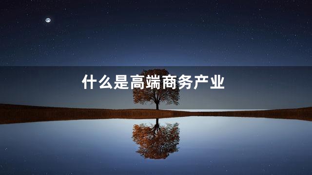 什么是高端商务产业