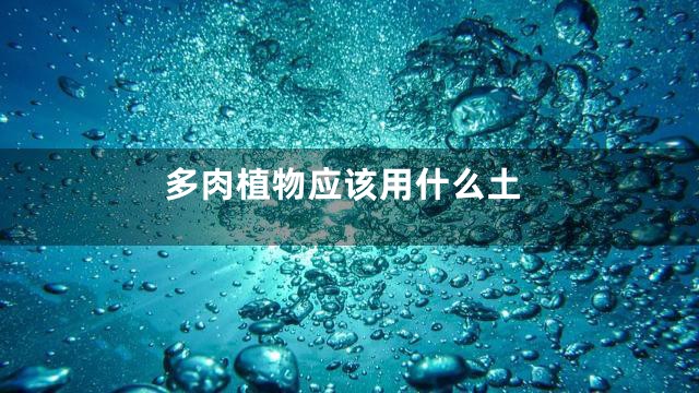 多肉植物应该用什么土