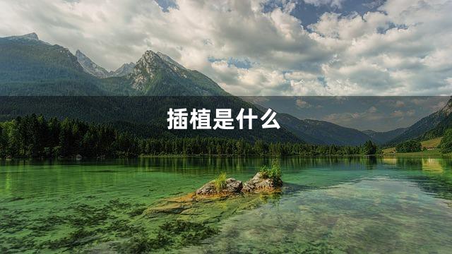 插植是什么