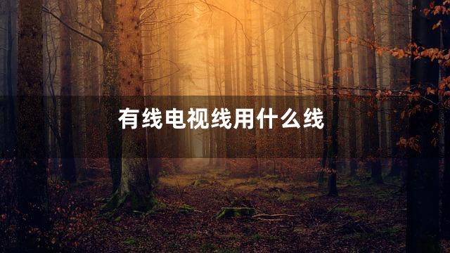 有线电视线用什么线