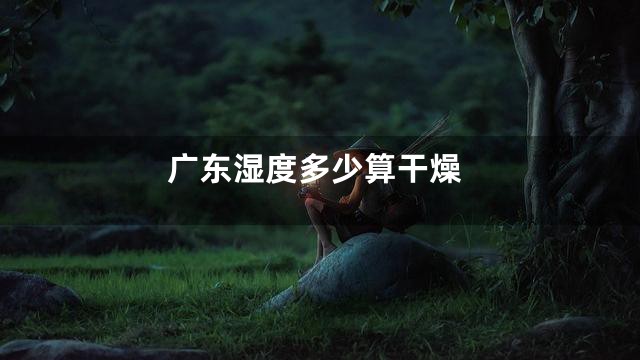 广东湿度多少算干燥