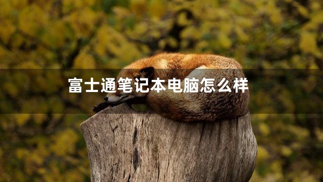 富士通笔记本电脑怎么样