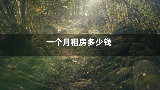 一个月租房多少钱