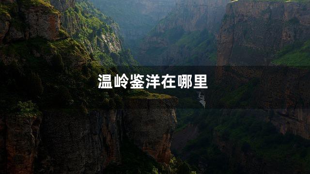 温岭鉴洋在哪里