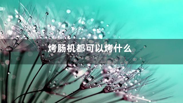 烤肠机都可以烤什么