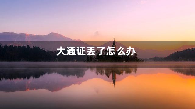 大通证丢了怎么办