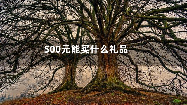 500元能买什么礼品
