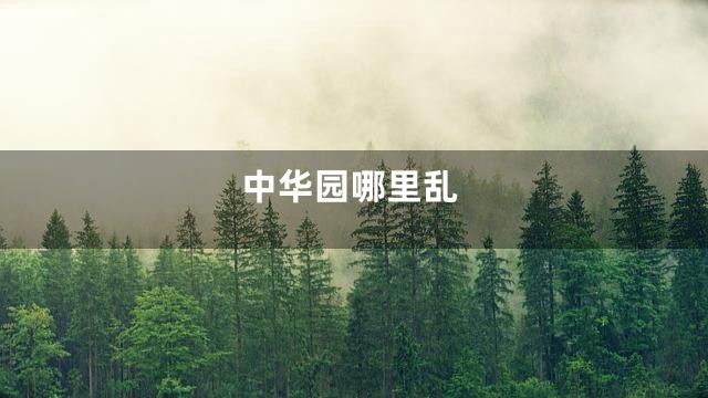 中华园哪里乱