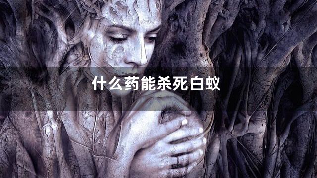 什么药能杀死白蚁