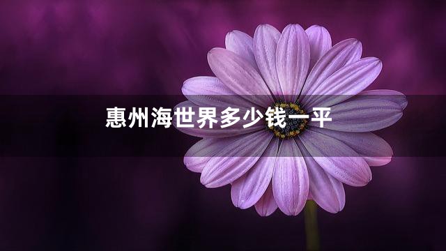惠州海世界多少钱一平