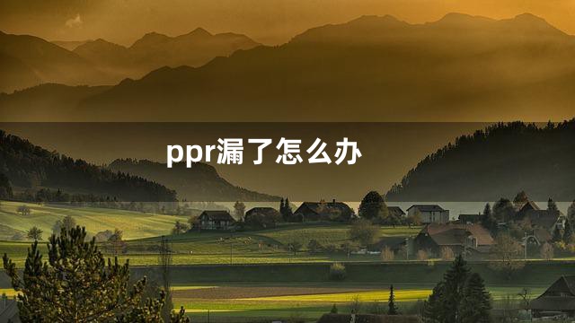 ppr漏了怎么办