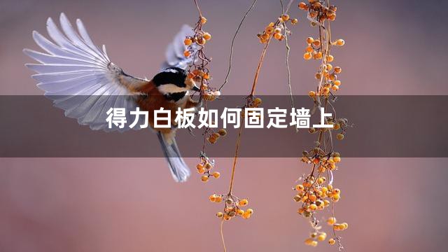 得力白板如何固定墙上