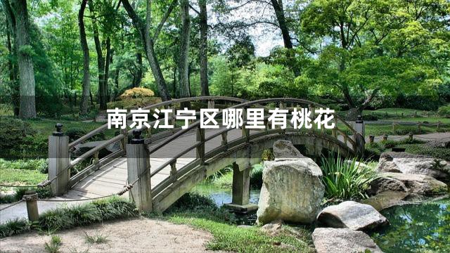 南京江宁区哪里有桃花