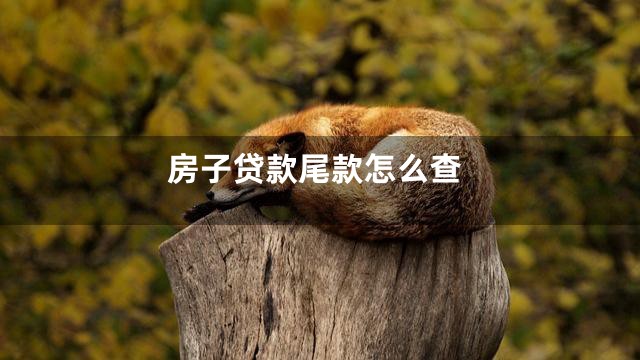 房子贷款尾款怎么查