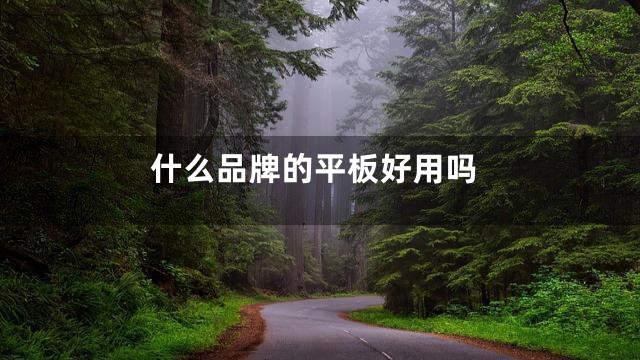 什么品牌的平板好用吗