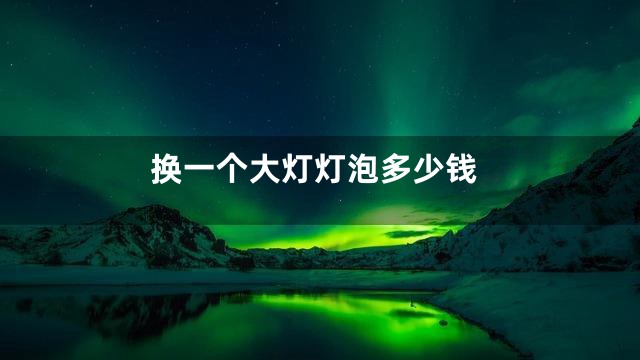 换一个大灯灯泡多少钱