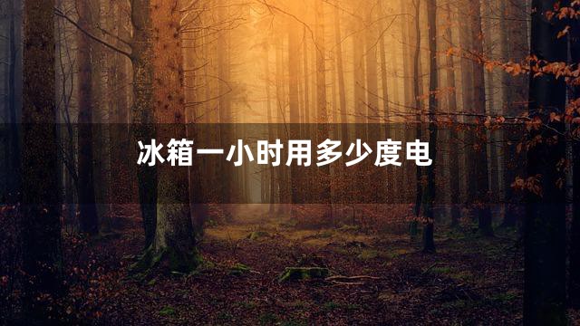 冰箱一小时用多少度电