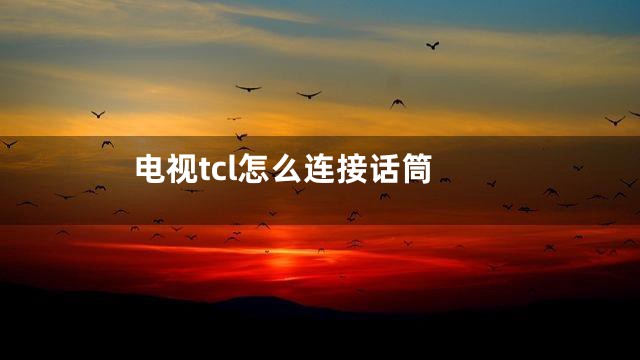 电视tcl怎么连接话筒