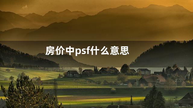 房价中psf什么意思