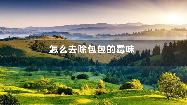 怎么去除包包的霉味