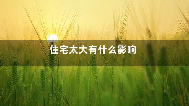 住宅太大有什么影响