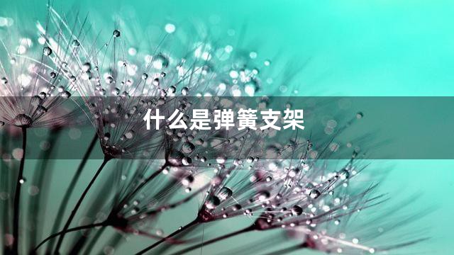 什么是弹簧支架