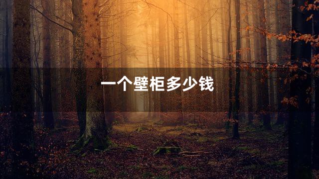 一个壁柜多少钱