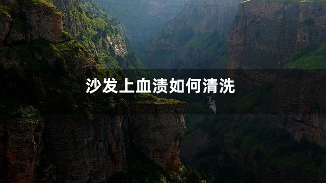 沙发上血渍如何清洗