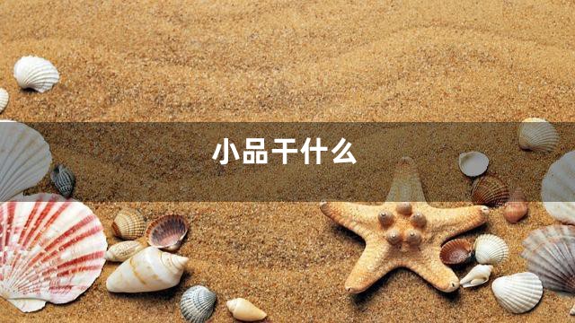 小品干什么