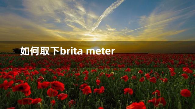 如何取下brita meter