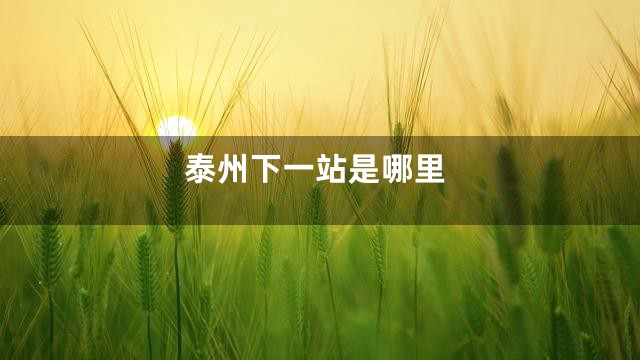 泰州下一站是哪里